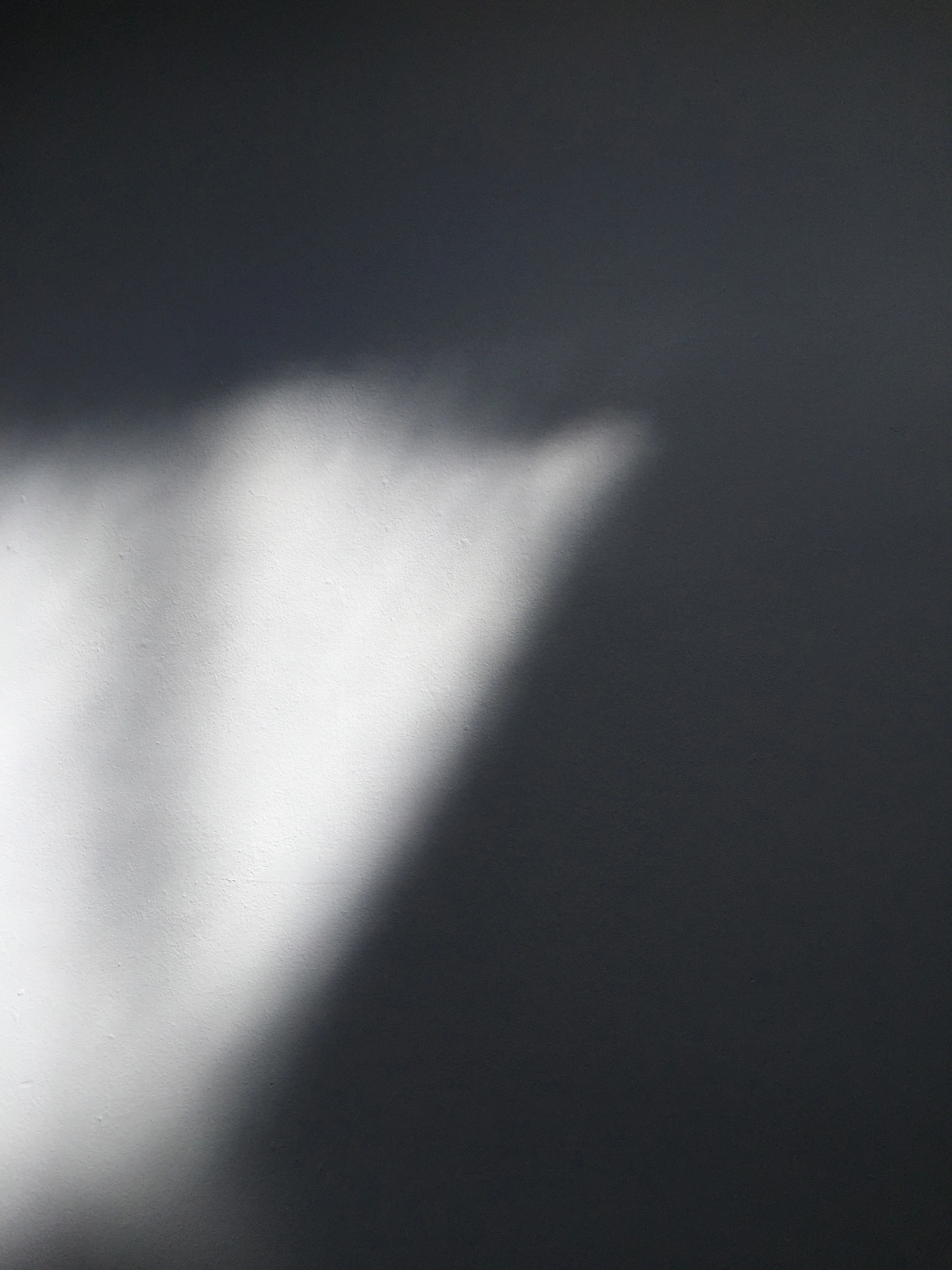 Shadows & Light