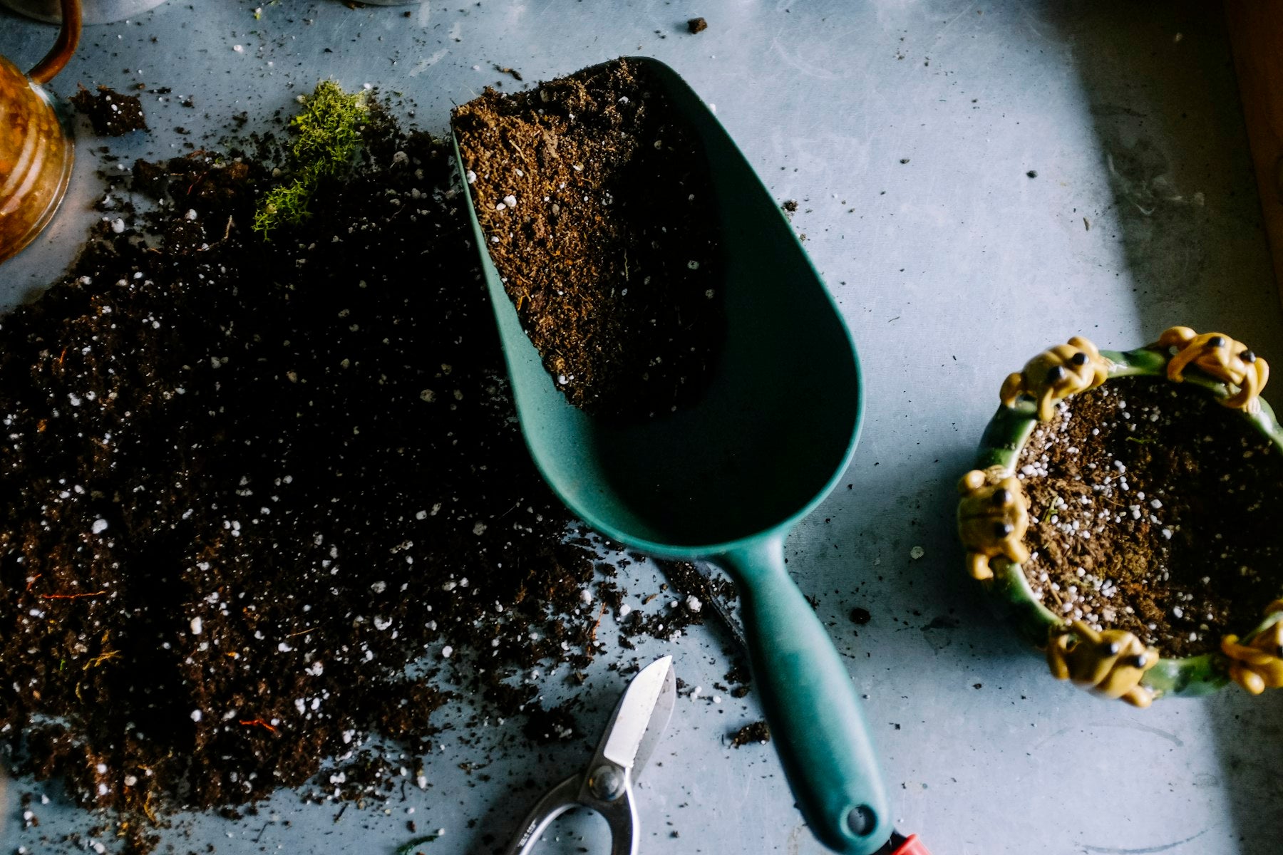 sfcf garden soil