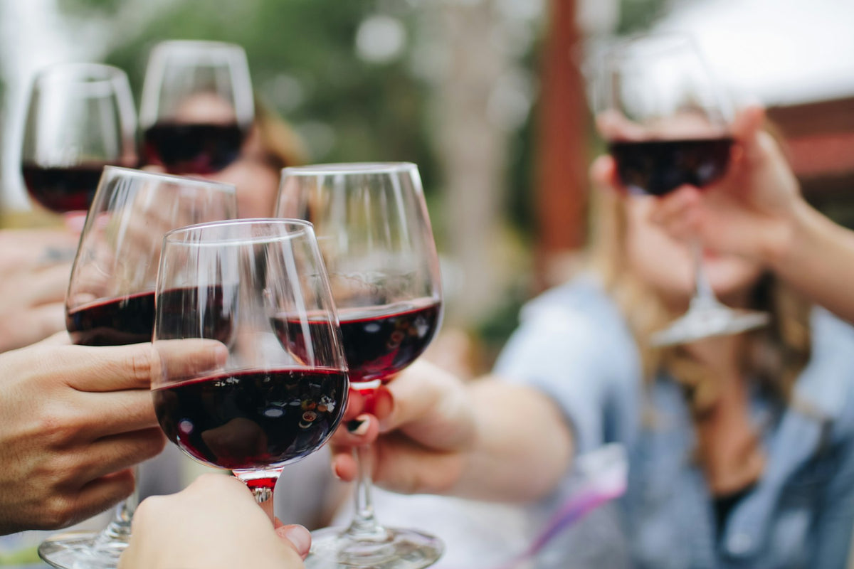 Friends toasting with red wine