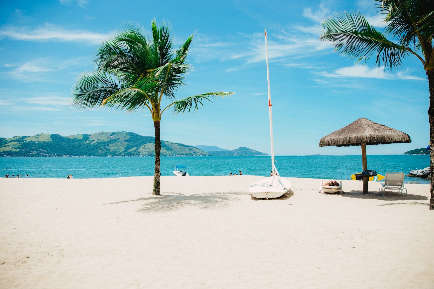 Palm trees over a white sand beach