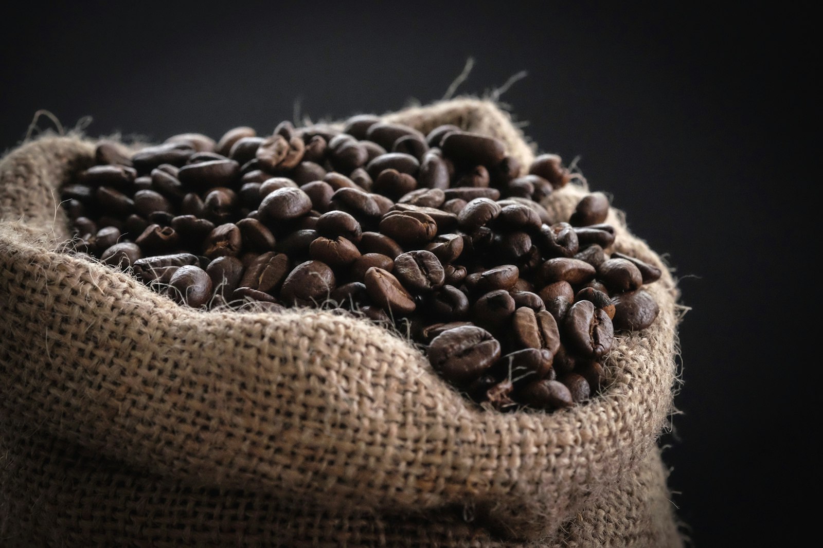 Roasted coffee beans spilling from a burlap sack