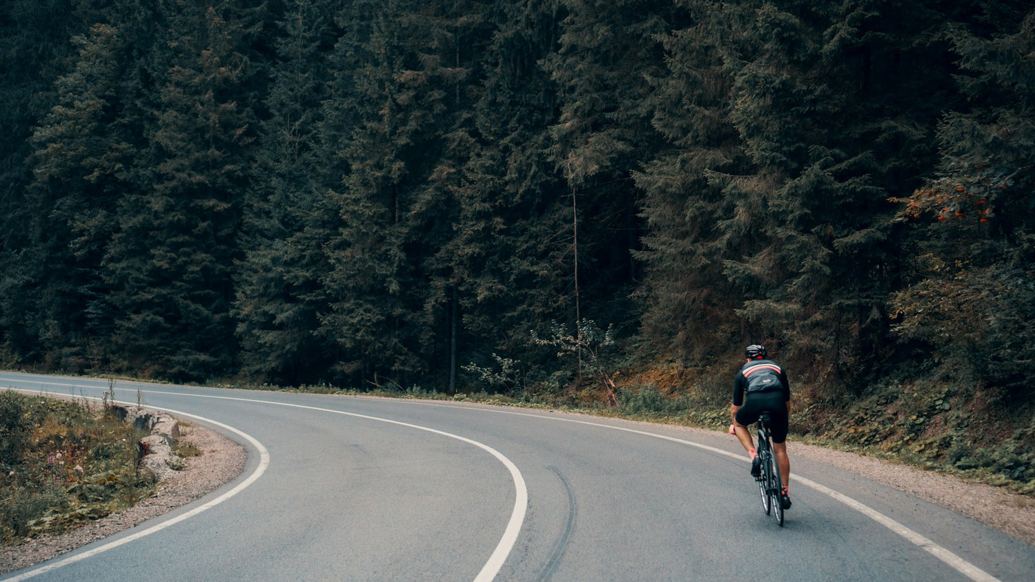 Cyclist on a forest road