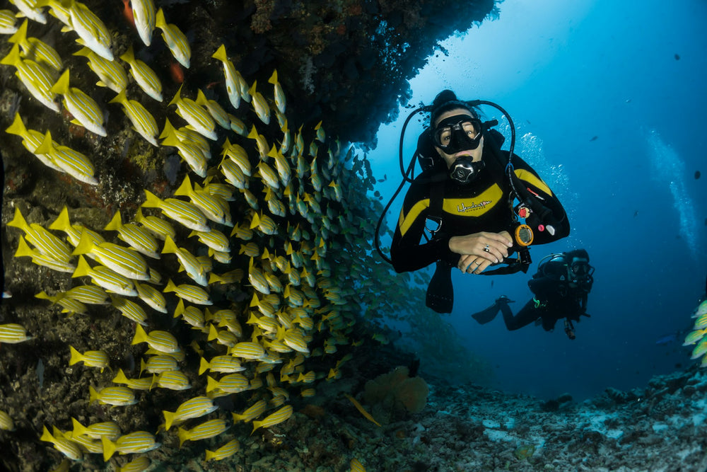 Diver among a shoal of fish