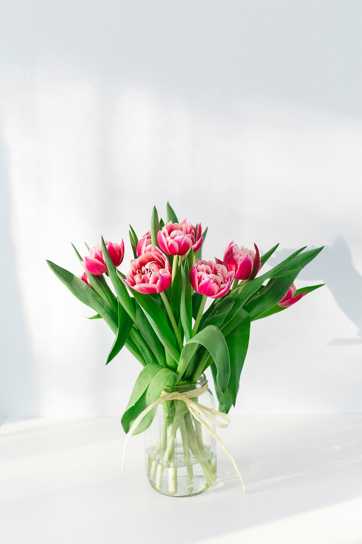 Pink tulips in a vase